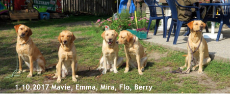 1.10.2017 Mavie, Emma, Mira, Flo, Berry