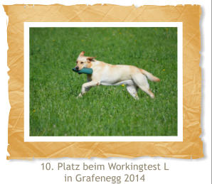 10. Platz beim Workingtest L in Grafenegg 2014