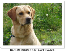 DANUBE BOONDOCKS AMBER MAVIE