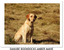 DANUBE BOONDOCKS AMBER MAVIE