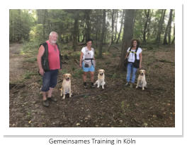 Gemeinsames Training in Köln