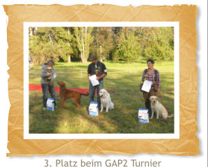 3. Platz beim GAP2 Turnier